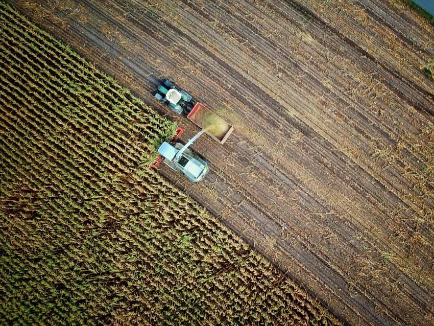 El cobre en la agricultura